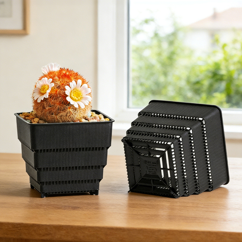 3D Printing Pot - MESHPOT 6-Pack Pot Persegi untuk Sukulen