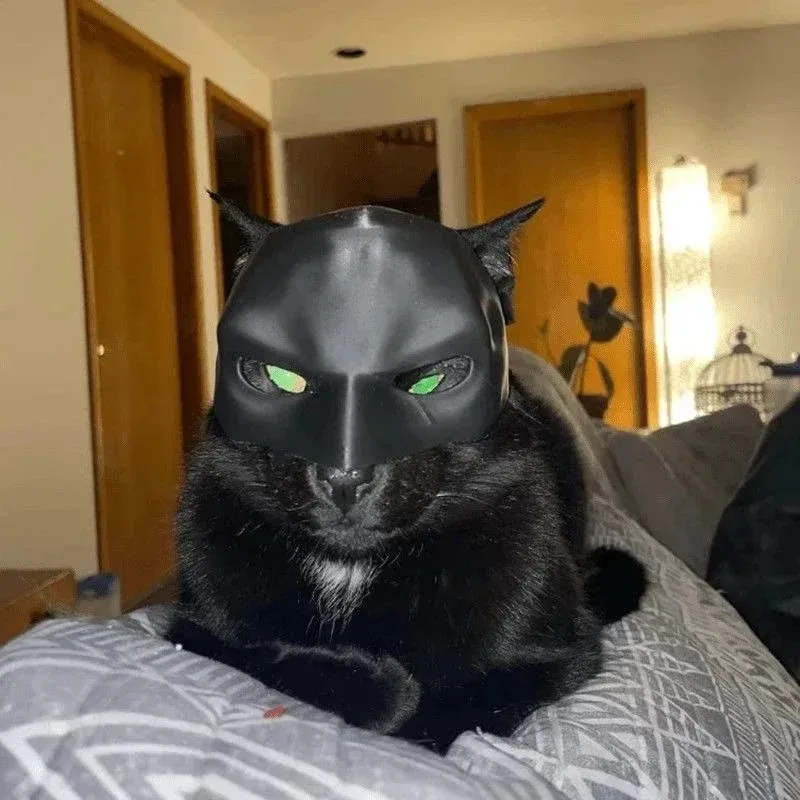3D Printing Foto - Topeng Kucing Avenger Cetak 3D, Topi