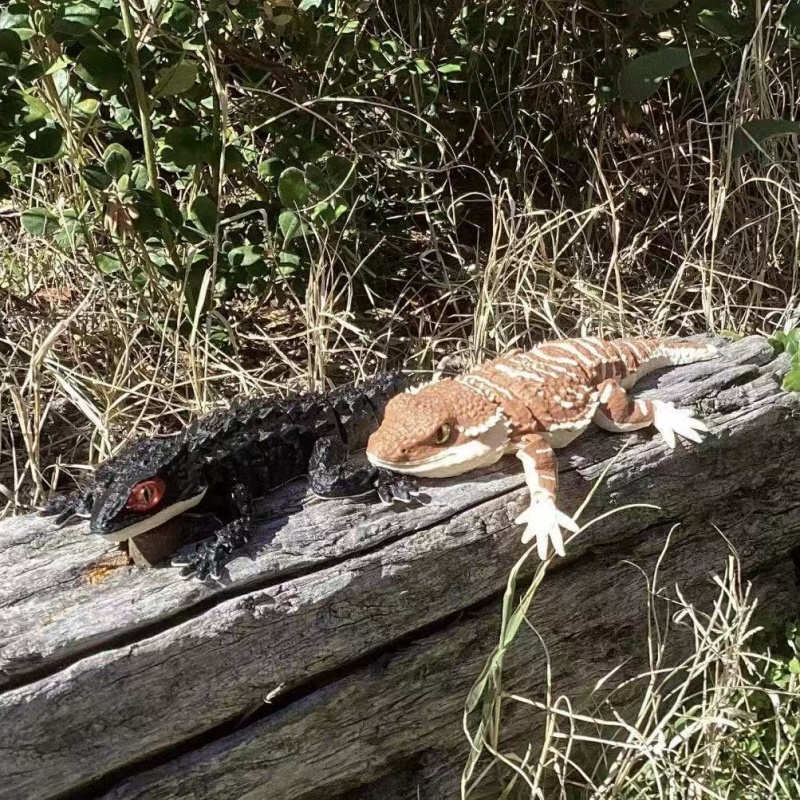 Cetakan 3D Model Reptil Buaya  - 3D Printing Lizard ulasan dan harga