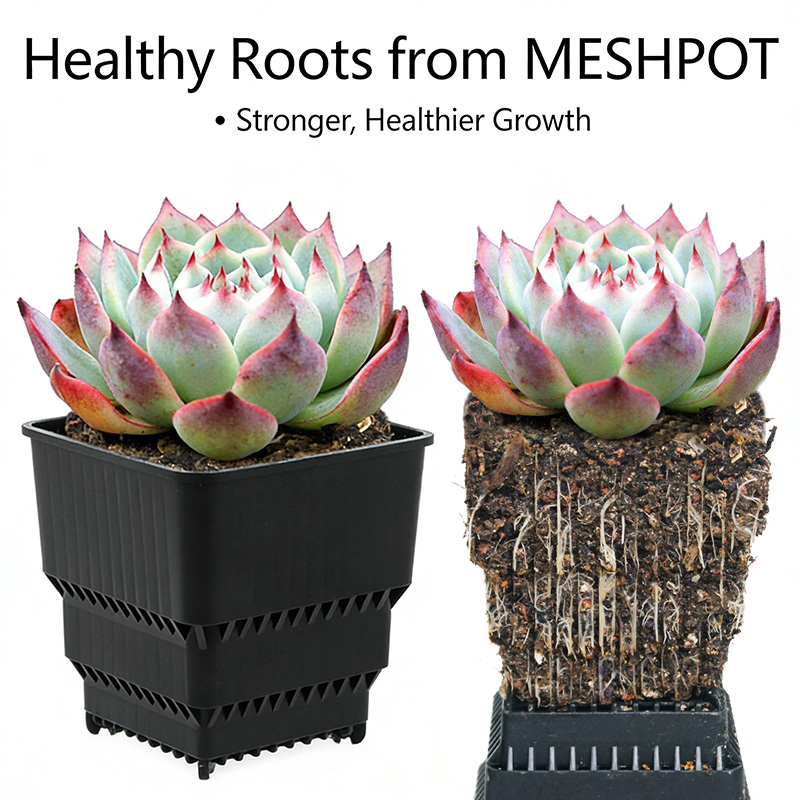 MESHPOT 6-Pack Pot Persegi unt - 3D Printing Pot ulasan dan harga