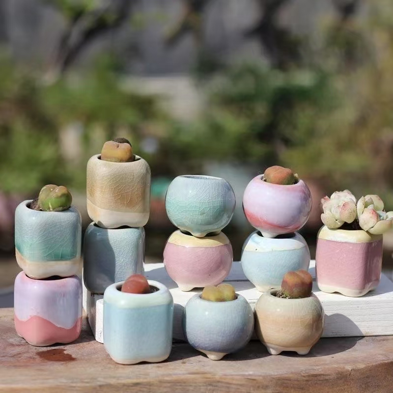 6 Buah Pot Bunga Mini Sukulen  - 3D Printing Pot ulasan dan harga