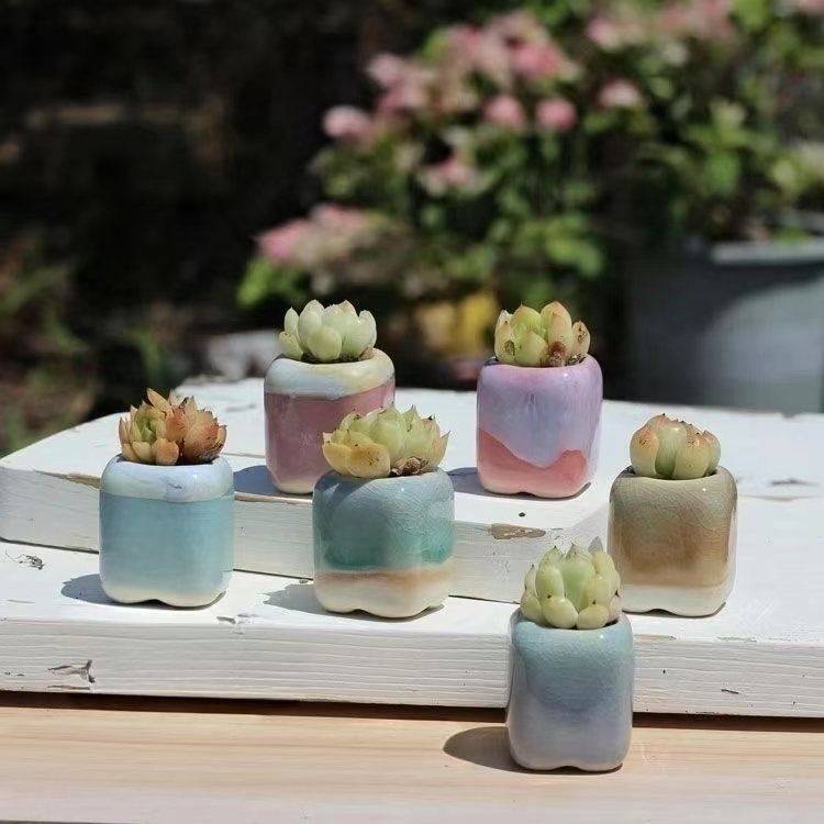 6 Buah Pot Bunga Mini Sukulen  - 3D Printing Pot ulasan dan harga